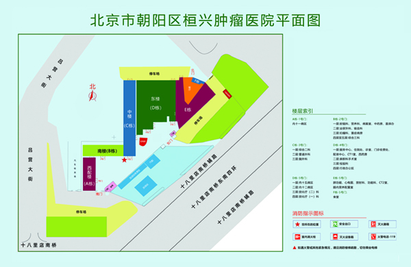 老司机黄视频北京市朝阳区桓兴肿瘤医院平面图